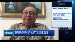 Kuasai 70% Pasar Dunia, Ini Potensi Bisnis Sarang Walet RI