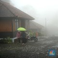 Diobral Murah Vila-Vila di Puncak Susah Dijual, Ini Sebabnya!