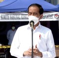 Kapan Jokowi Lantik Anggota Dewas Dana Abadi SWF?