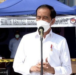 Kapan Jokowi Lantik Anggota Dewas Dana Abadi SWF?