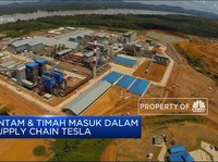 ANTAM & Timah Masuk Dalam Supply Chain Tesla