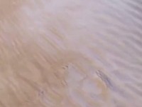 Geger Salju Turun di Gurun 'Panas' Sahara, Kok Bisa?