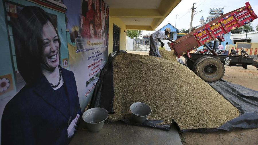 Kampung halaman Kamala Harris di India rayakan kemenangannya sebagai wapres AS. (AP/Aijaz Rahi)