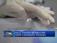 Kaji Vaksin Berbayar, Demi Vaksinasi Massal