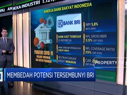 Membedah Potensi Tersembunyi BRI