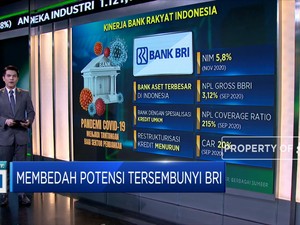 Membedah Potensi Tersembunyi BRI