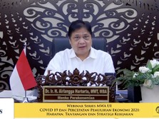 Saingi Temasek, Airlangga 'Pede' SWF RI Terbesar di ASEAN