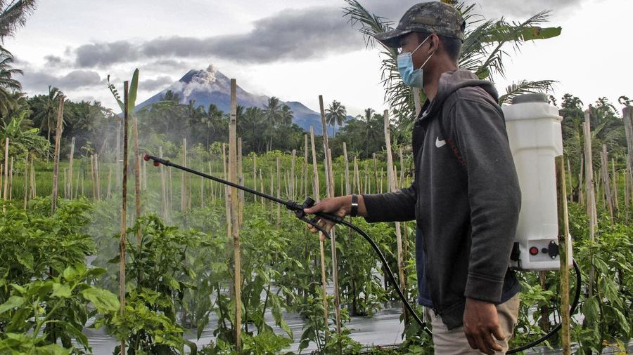Erupsi Gunung Merapi. (AP/Slamet Riyadi)