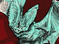 Ngeri! Muncul Varian Baru Virus Hendra, Jauh Lebih Mematikan