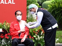 Satgas: Tak Ada Efek Samping Usai Jokowi Divaksinasi Covid-19