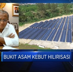 Sebesar Changi Airport, PTBA Bangun PLTS Atap di Soetta