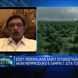 BPDPKS: Harga CPO Melonjak, Dana Stimulus Program B30 Naik