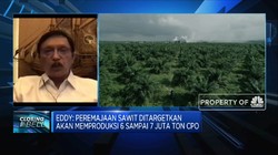 BPDPKS: Harga CPO Melonjak, Dana Stimulus Program B30 Naik