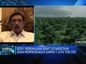 BPDPKS: Harga CPO Melonjak, Dana Stimulus Program B30 Naik