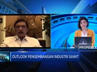 Legalitas Lahan, Persoalan di Program Peremajaan Sawit Rakyat