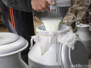 Segini Kebutuhan Susu buat Program Makan Bergizi Gratis Prabowo
