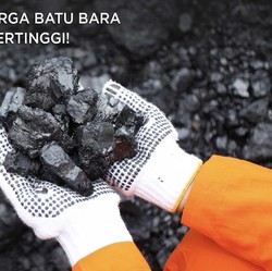 Wow Rekor, Harga Batu Bara Tembus Level Tertinggi!