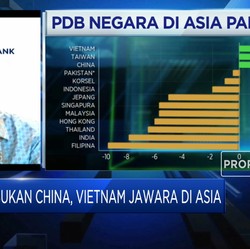 Besarnya Potensi Pasar, Daya Tarik Masuknya FDI ke Indonesia