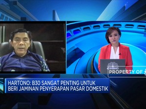 Pengusaha Sawit Harap RI Tak Buru-buru Pindah ke Program B40