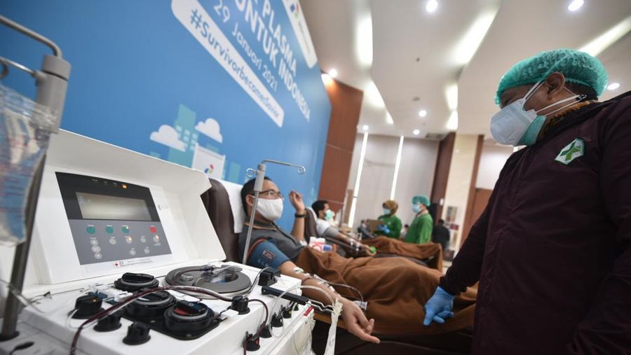 Donor plasma pertamina untuk Indonesia. (Dok: BUMN)