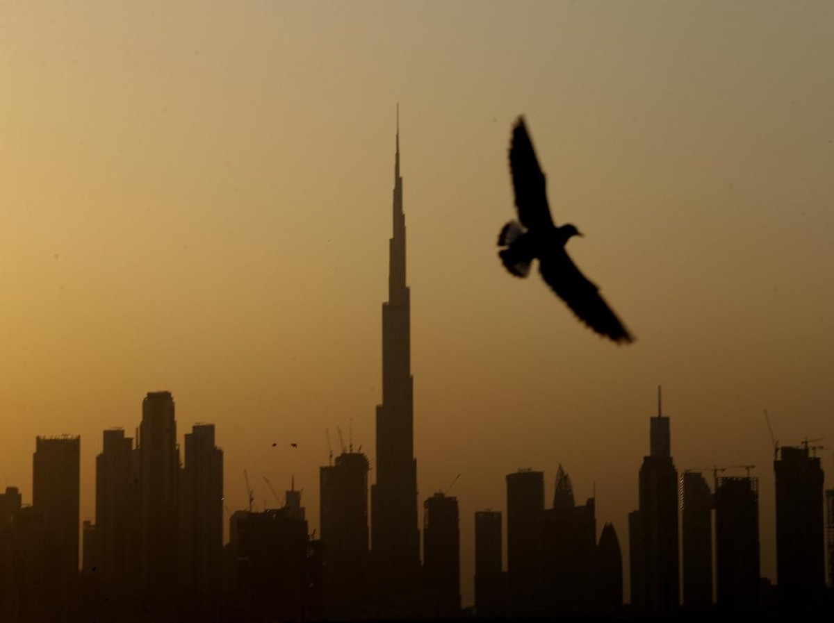 UEA Investasi Rp16 Triliun untuk Perkuat Teknologi AI di Afrika