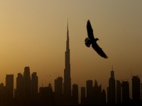 Asing Mendadak Ramai Serbu Arab, Ada Apa?
