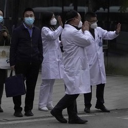 WHO Bocorkan Asal-usul Virus Covid-19, Ini Penjelasannya!