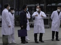 WHO Ungkap 6 Fakta Asal-Usul Corona, Hasil Investigasi Wuhan