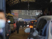 Mulai Terungkap, Peternakan China Asal Muasal Virus Corona?