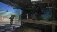 Miris! Akibat Pandemi Binatang di Bonbin Eropa Ini Sengsara