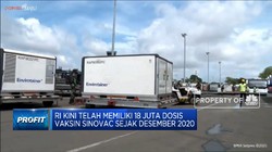 11 Juta Vaksin Sinovac Tahap 4 Tiba di RI