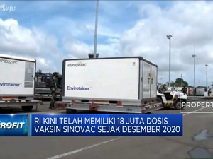11 Juta Vaksin Sinovac Tahap 4 Tiba di RI