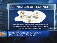 Diterpa Credit Crunch, Indonesia Mau Apa?