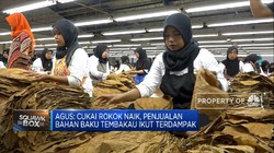 Diserbu Tembakau Asing, APTI Minta Keran Impor Dibatasi