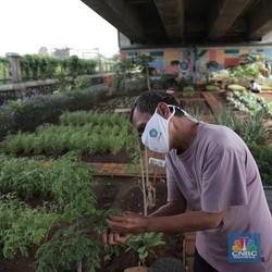 Investor Startup Cari Petani, Bukan Lulusan Kampus Terkenal