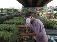 Investor Startup Cari Petani, Bukan Lulusan Kampus Terkenal