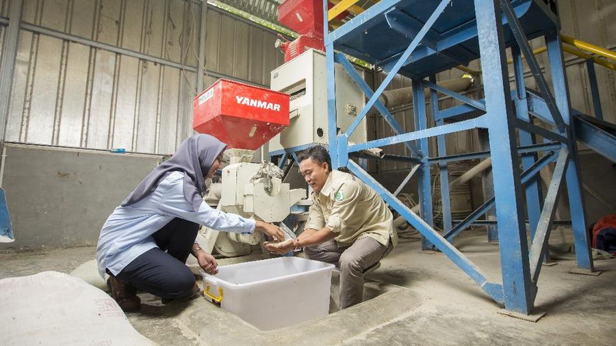 Program CSR “Pagar Dewa” PTBA   (Dok. PTBA)