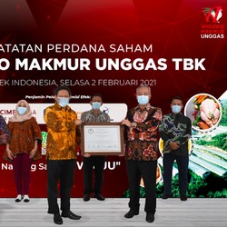 'Bulan Madu' Berakhir! Saham Widodo Makmur ARB Lagi!
