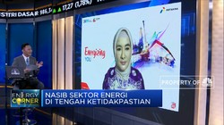 Langkah PLN & Pertamina Kejar Target Bauran Energi Terbarukan
