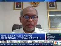 Ini Jurus Pemerintah Tekan Impor Bensin dan LPG