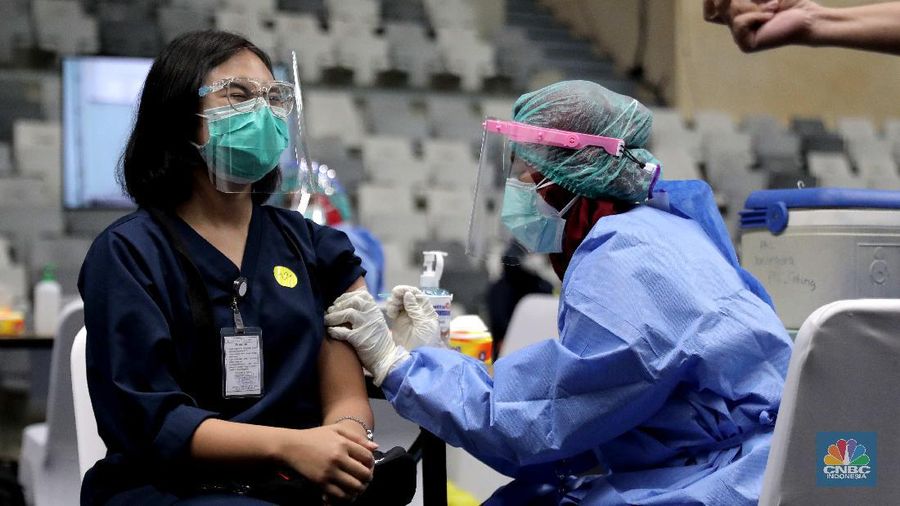 Sejumlah tenaga medis mengikuti proses vaksinasi Covid-19 di Istora Senayan, Kamis, 4 Februari 2021. Ribuan tenaga kesehatan akan menerima vaksinasi covid-19 tahap pertama di Istora Senayan, Jakarta. Vaksinasi massal ini digelar mulai pukul 08.00-16.00 WIB. Vaksinasi dilakukan secara teratur dengan menerapkan protokol kesehatan yang ketat. Peserta terpilih yang telah mendapatkan email konfirmasi, nantinya akan diberitahukan tempat dan jam kehadiran. Vaksinasi massal ini diperuntukan bagi tenaga kesehatan yang belum mendapatkan vaksin. Dalam vaksinasi massal ini, Pemprov menargetkan untuk menyuntik 6.000 tenaga kesehatan. Vaksinasi ini untuk penyuntikan dosis pertama Sinovac. (CNBC Indonesia/ Muhammad Sabki)