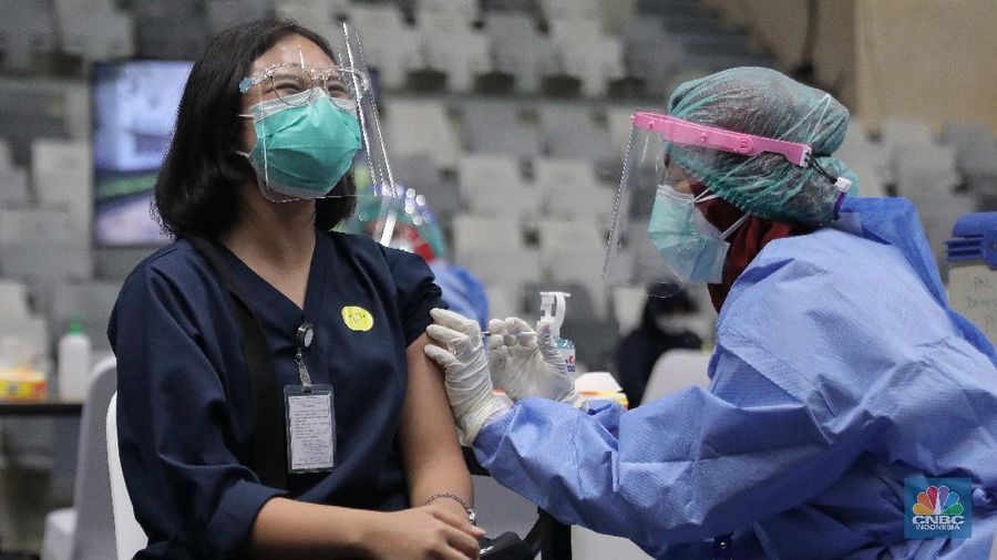 Sejumlah tenaga medis mengikuti proses vaksinasi Covid-19 di Istora Senayan, Kamis, 4 Februari 2021. Ribuan tenaga kesehatan akan menerima vaksinasi covid-19 tahap pertama di Istora Senayan, Jakarta. Vaksinasi massal ini digelar mulai pukul 08.00-16.00 WIB. Vaksinasi dilakukan secara teratur dengan menerapkan protokol kesehatan yang ketat. Peserta terpilih yang telah mendapatkan email konfirmasi, nantinya akan diberitahukan tempat dan jam kehadiran. Vaksinasi massal ini diperuntukan bagi tenaga kesehatan yang belum mendapatkan vaksin. Dalam vaksinasi massal ini, Pemprov menargetkan untuk menyuntik 6.000 tenaga kesehatan. Vaksinasi ini untuk penyuntikan dosis pertama Sinovac. (CNBC Indonesia/ Muhammad Sabki)