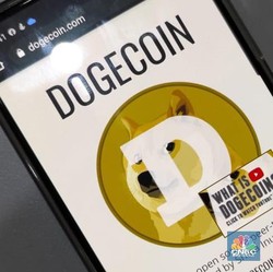 Ini Dia Bandar Besar Dogecoin Berharta Rp 150 T , Elon Musk?