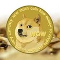 Ini Beda Bitcoin & Dogecoin, Awas Bukan Cuan Malah Boncos