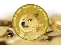 'Dipompom' Elon Musk & Mark Cuban, Bikin Dogecoin to The Moon