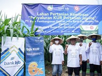 Bank bjb Sinergi dengan Pemerintah dalam Penyaluran KUR