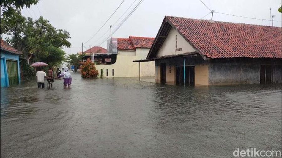Banjir Pekalongan (Robby Bernardi - detikNews)