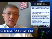 Pengusaha Tak Khawatirkan Kenaikan Pajak Impor CPO India