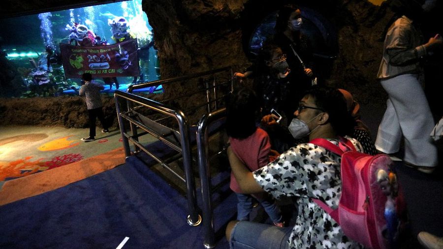 Barongsai Underwater (CNBC Indonesia/ Tri Susilo)