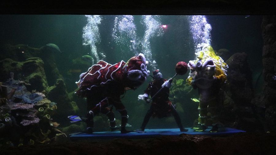 Barongsai Underwater (CNBC Indonesia/ Tri Susilo)